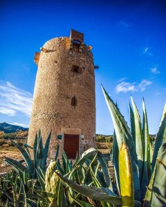 Als peus de la serra de Miramar hi trobareu la Torre de la Mixarda, una construcció dels segles XII i XIII que es va reconstruir al segle XV a Figuerola del Camp. El seu interior és visitable, us animeu?
