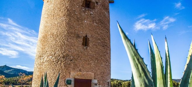 Als peus de la serra de Miramar hi trobareu la Torre de la Mixarda, una construcció dels segles XII i XIII que es va reconstruir al segle XV a Figuerola del Camp. El seu interior és visitable, us animeu?