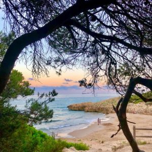 Cala Romana és un petit paradís entre pins a tocar de Tarragona